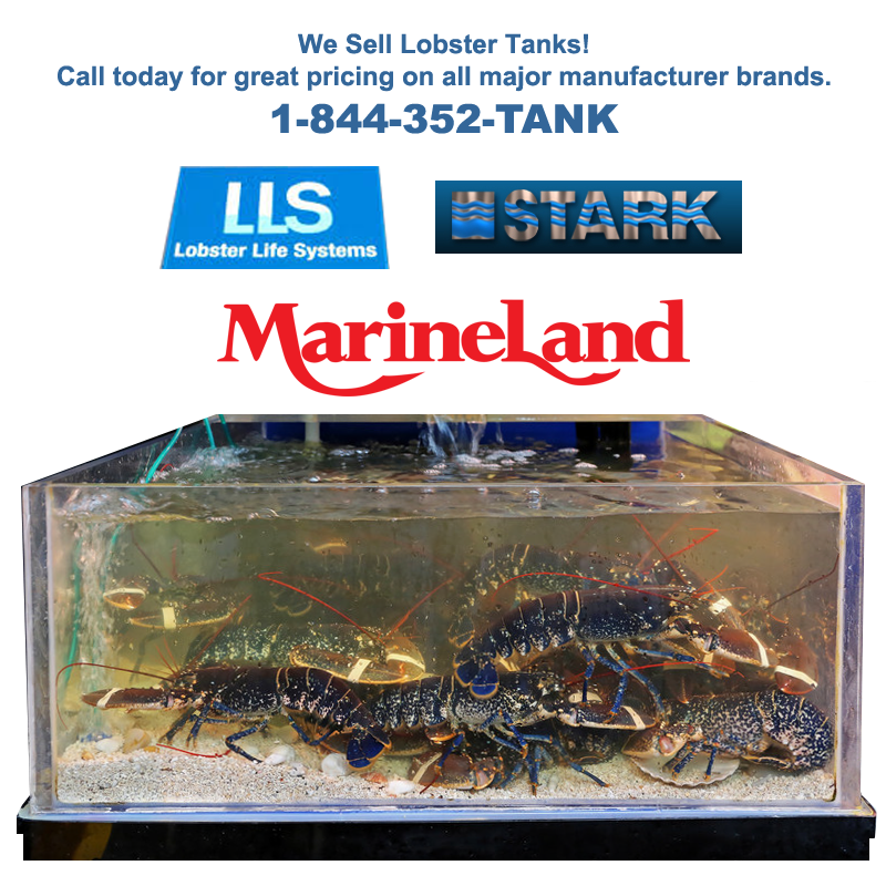 Lobster Tanks Crystal Clear Aquarium Service Lobster Tank Service 610 539 3310 [ 800 x 800 Pixel ]